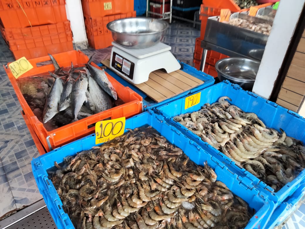 Cae hasta en un 60% venta de pescados y mariscos en Xalapa; en temporada de  Cuaresma no hubo repunte… – 